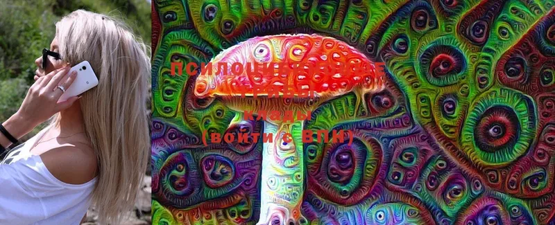 Галлюциногенные грибы MAGIC MUSHROOMS  сайты даркнета телеграм  Копейск 